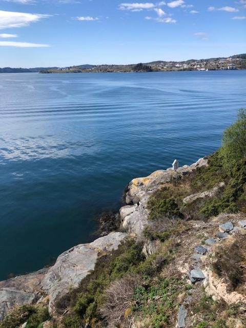 Koselig Nyoppusset 3 Roms Leilighet Med Egen Parkeringsplass I Rolige Omgivelse Naer Sjoen, 2 Mil Nord For Bergen Sentrum. Dış mekan fotoğraf